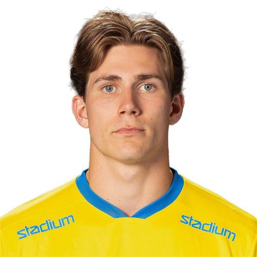 ULRIKSSON
